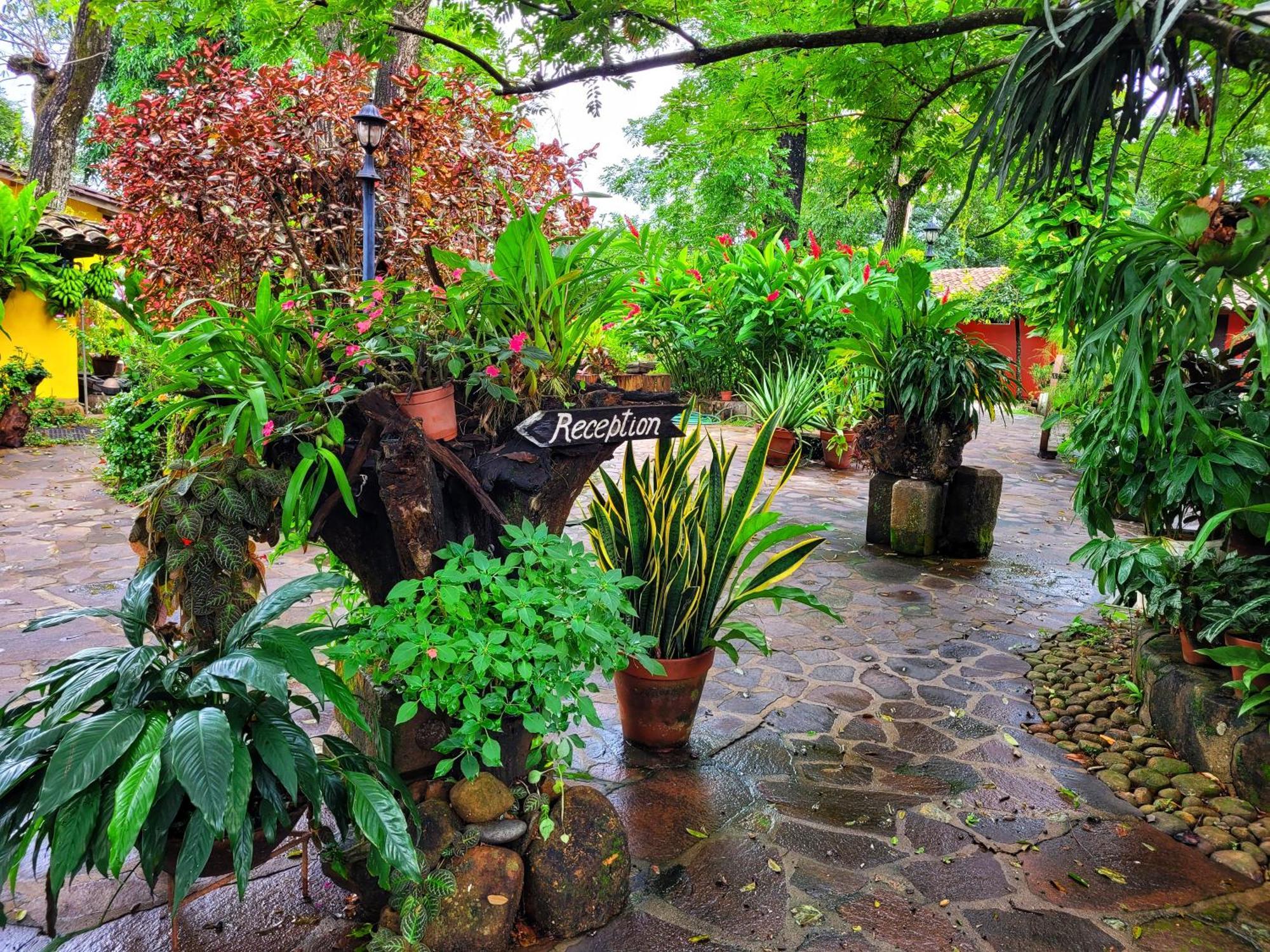 Hotel El Tejado Suchitoto Exteriér fotografie