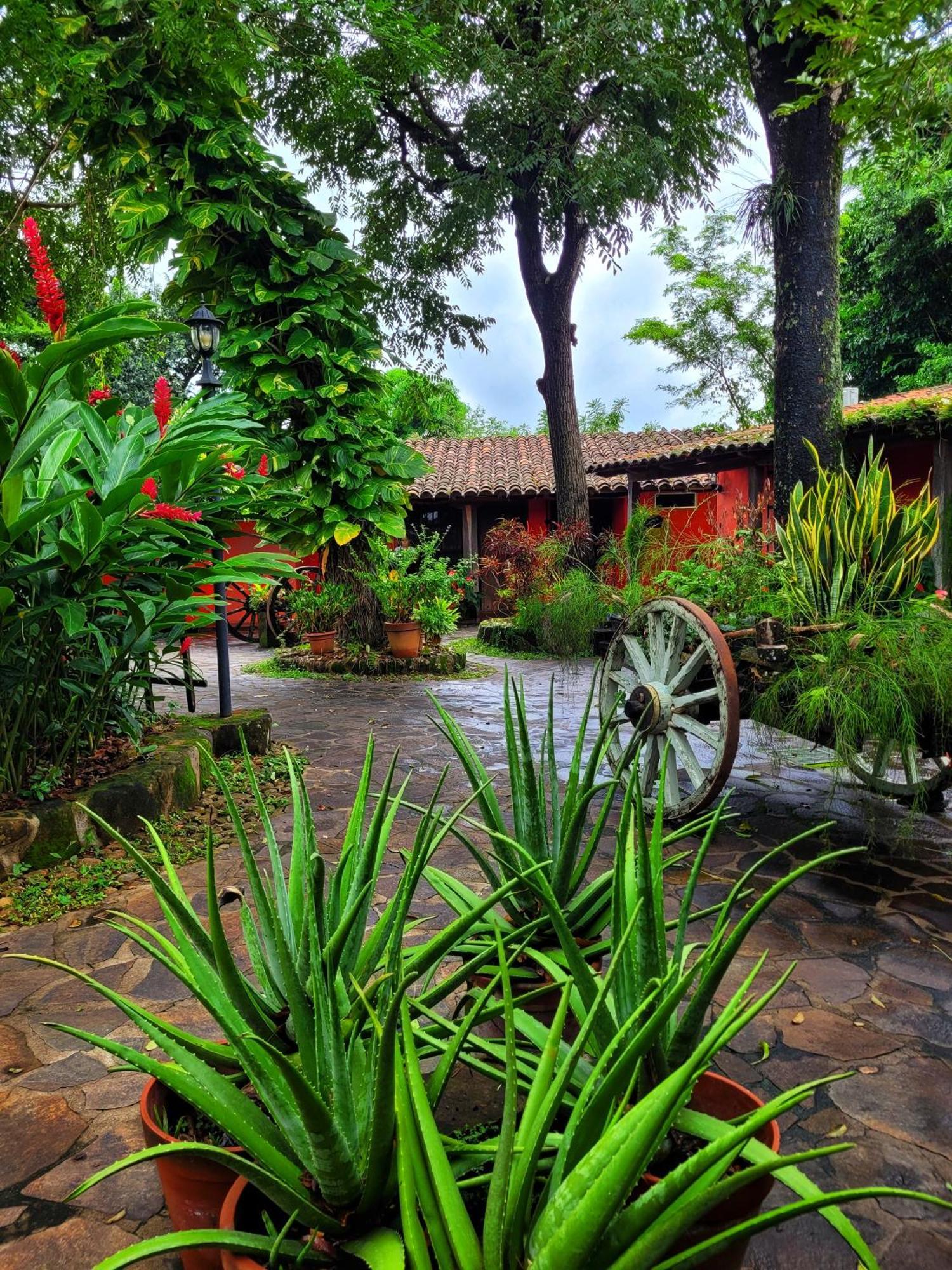 Hotel El Tejado Suchitoto Exteriér fotografie